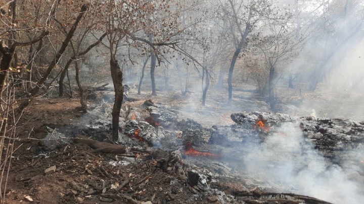 مهار کامل حریق در آزادشهر