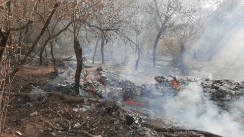 مهار کامل حریق در آزادشهر