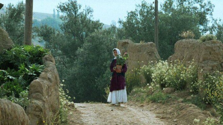 جشنواره جهانی فیلم فجر با اکران«زیر درختان زیتون» آغاز شد