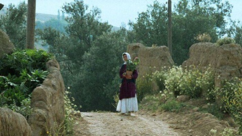 جشنواره جهانی فیلم فجر با اکران«زیر درختان زیتون» آغاز شد