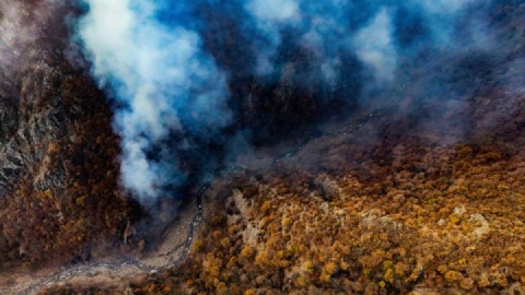 ورود به جنگل‌های هیرکانی، زاگرس و ارسباران تا بارش مؤثر ممنوع شد