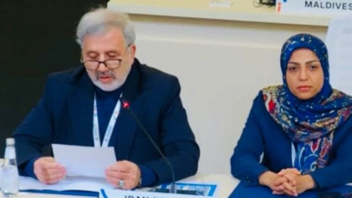 عنایتی: آمریکا و رژیم اسرائیل باید در قبال جنایات خود پاسخگو باشند