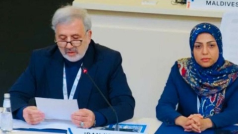 عنایتی: آمریکا و رژیم اسرائیل باید در قبال جنایات خود پاسخگو باشند