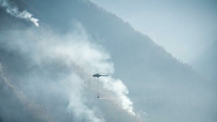 جزئیات عملیات اطفای حریق در جنگل‌های هیرکانی الیت