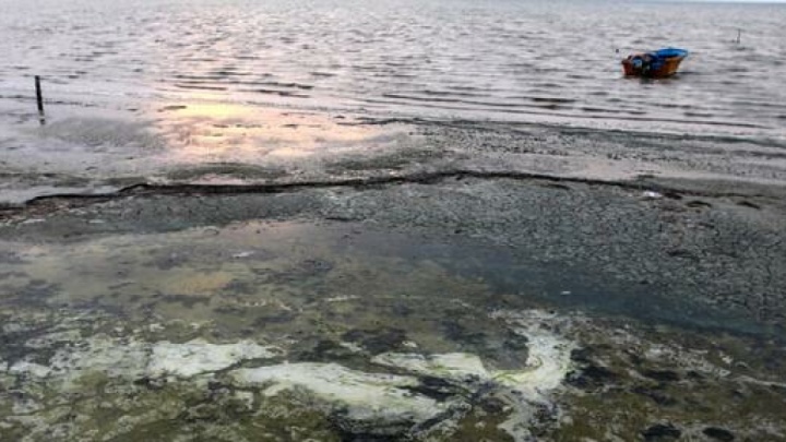 افزایش سرعت وزش باد و ارتفاع امواج دریای خلیج فارس