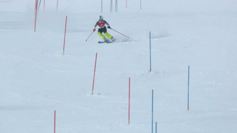 واکنش فدراسیون اسکی و ورزش‌های زمستانی به سقوط بهمن؛ تیم ملی در سلامت کامل است