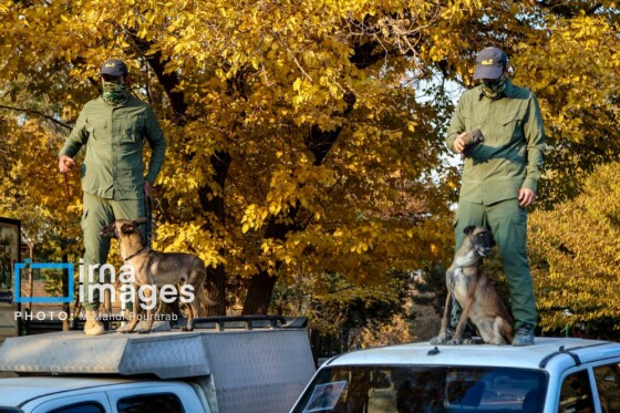 رزمایش اقتدار بسیج پایتخت