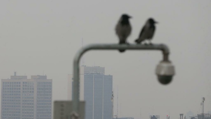 افزایش غلظت آلاینده‌ها در شهرهای صنعتی و پرجمعیت