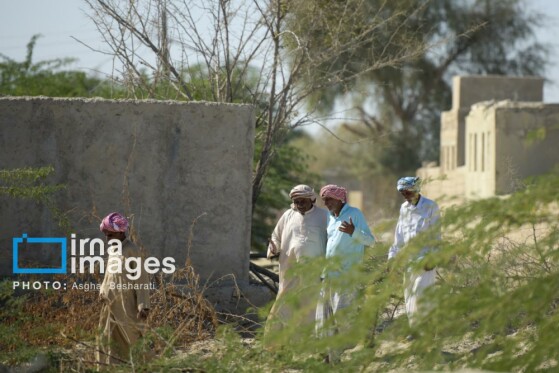 نذر خیرات در روستای گورزین