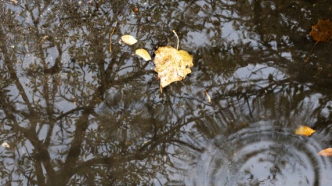 بارش پراکنده باران در سواحل دریای خزر و خراسان شمالی