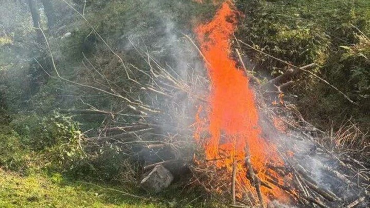 آتش‌افروز هیرکانی دستگیر شد