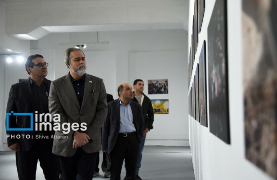 سومین روز جشنواره بین المللی فیلم فجر در شیراز