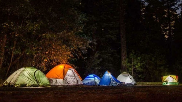 اقامت شبانه گردشگران در جنگل‌های آمل ممنوع شد