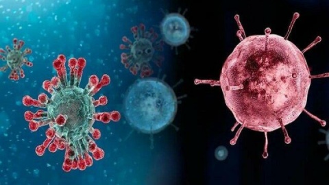 آنفلوآنزا در صدر عفونت‌های تنفسی/ وضعیت ابتلا در ۷ استان بالاتر از میانگین کشوری