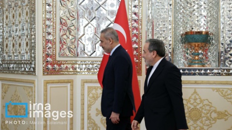 فیلم/ تهران میزبان فیدان