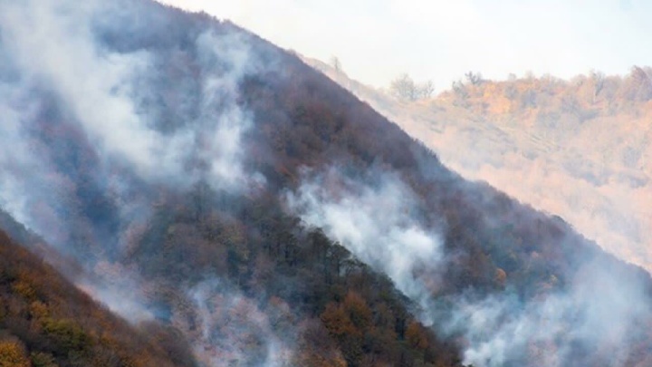 آتش‌سوزی جنگل‌های ساری و نکا مهار شد