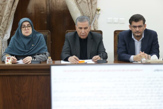 حضور معاون اول رئیس‌جمهور در جلسه شورای اقتصاد