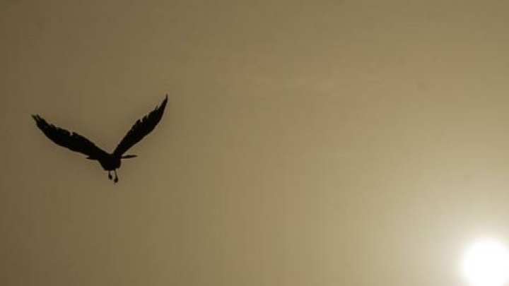 هوای ۲۴ ایستگاه تهران در شرایط «ناسالم برای همه»