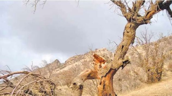 کمبود جبران‌ناپذیر بارش پاییزه