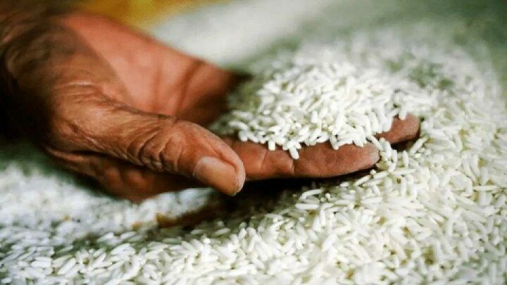 افزایش قیمت برنج نسبت به ماه قبل