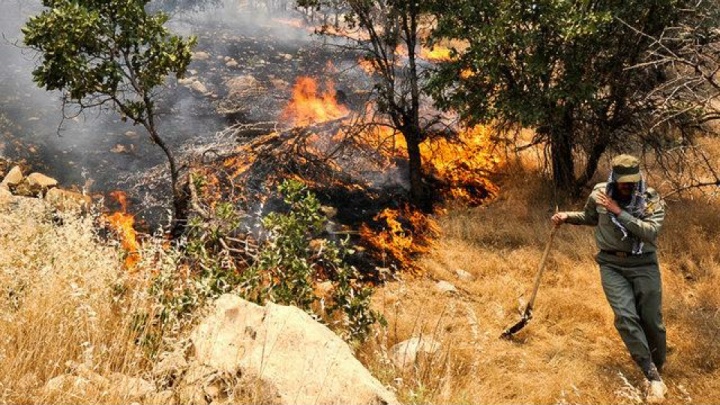 سالانه ۱۸ هزار آتش‌سوزی در کشور ثبت می‌شود