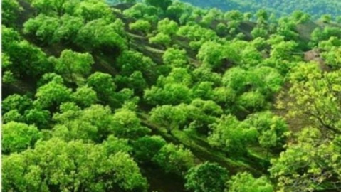 زوال زاگرس یعنی زوال تمدن