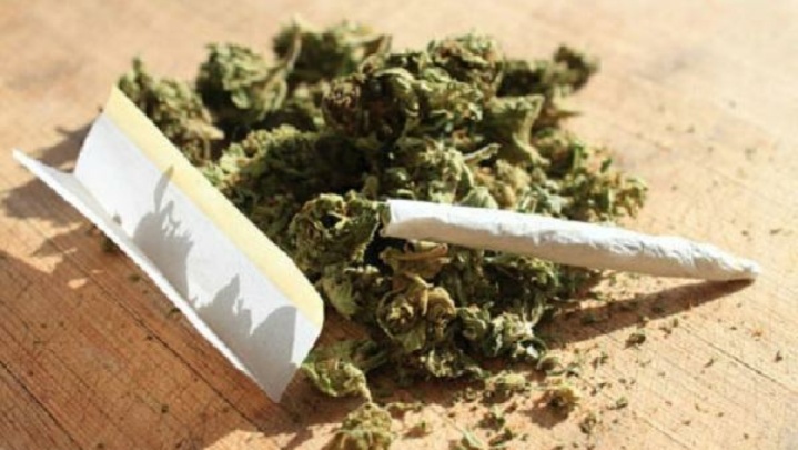 تغییرات ژنتیکی روی ماده مخدر «گل» در ایران/ مضرات گل ۱۰ برابر شاهدانه است