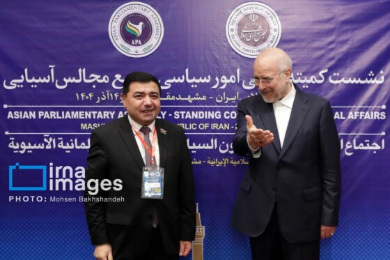 نشست کمیته دائمی امور سیاسی مجمع مجالس آسیایی در مشهد