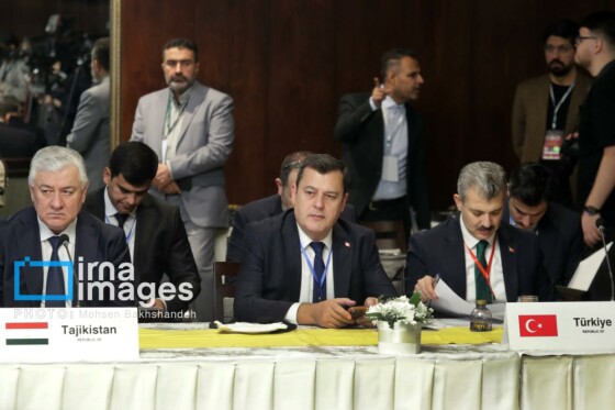 نشست کمیته دائمی امور سیاسی مجمع مجالس آسیایی در مشهد