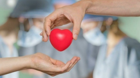 اهدای عضو دو فرزند معاون رئیس‌جمهور در پی حادثه تصادف و مرگ مغزی