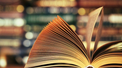 بازگشت به خرد زیستی