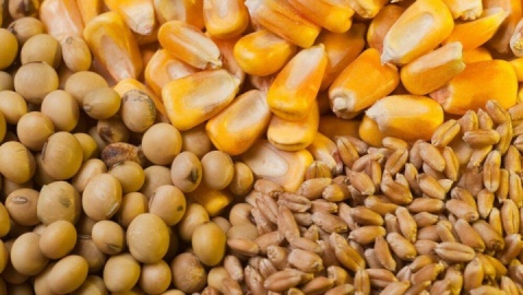 اولویت تخصیص ارز نهاده‌های دامی با معرفی‌نامه شرکت پشتیبانی امور دام