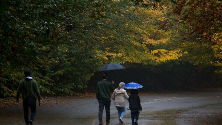 ورود سامانه بارشی به کشور طی فردا