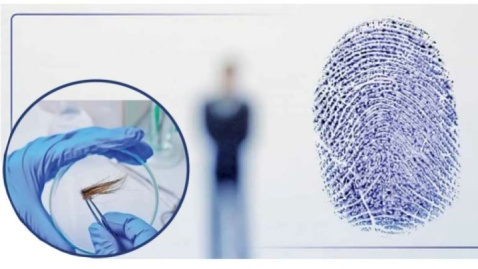 امکان پنهان کردن سوابق یا جرایم، وجود ندارد