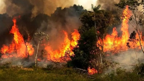 جای خالی فرماندهی واحد در «زمان طلایی»