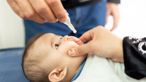 سالیانه نزدیک به ۱۰۰ میلیون دلار برای تولید واکسن‌های داخلی یا واردات واکسن هزینه می‌شود