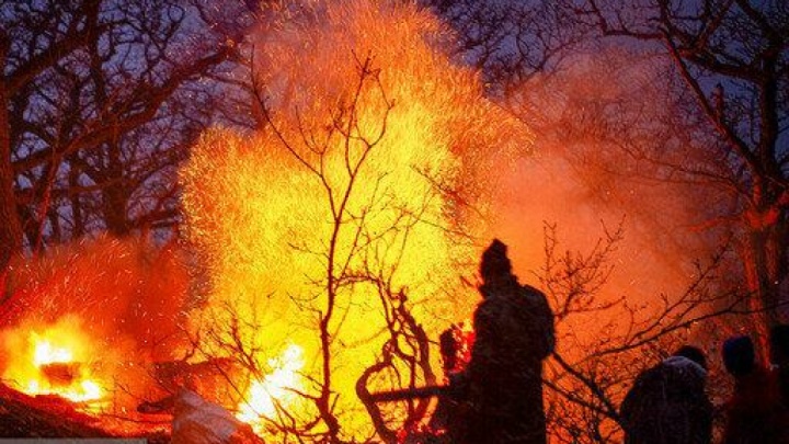 کمیسیون شوراها: دخالت انسانی علت اصلی آتش‌سوزی جنگل‌های هیرکانی