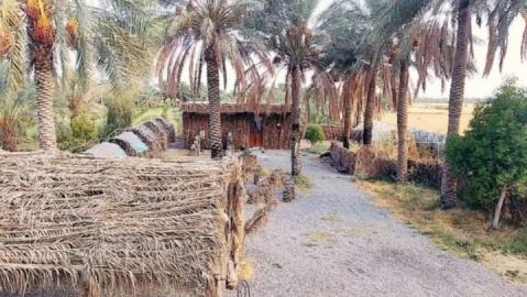 لای این نخلستان، روزگارم بد نیست