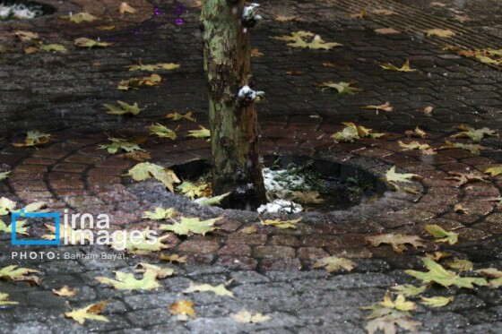 بارش اولین برف پاییزی در زنجان