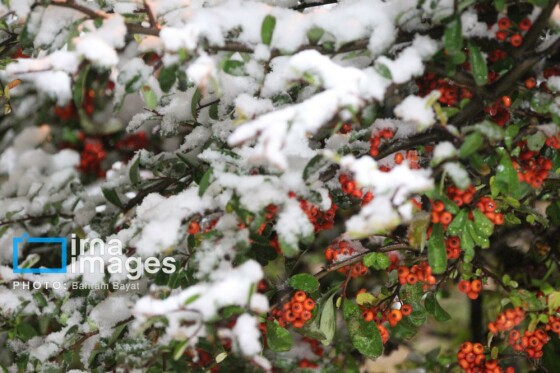 بارش اولین برف پاییزی در زنجان