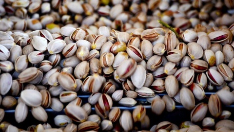 اتحادیه اروپا گواهی سلامت پسته ایران را پذیرفت؛ ۱۰۰ هزار تن صادرات سالانه