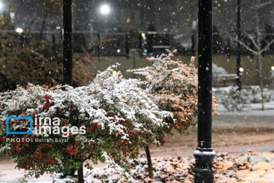 بارش اولین برف پاییزی در زنجان
