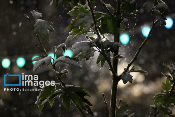 بارش اولین برف پاییزی در زنجان