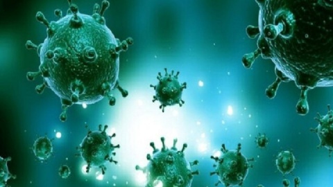 هفته گذشته ۳۳ درصد جامعه به آنفلوانزا مبتلا شدند