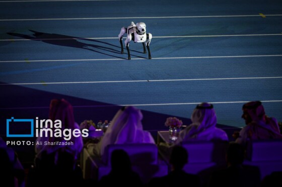 افتتاحیه پنجمین دوره بازی‌های پاراآسیایی جوانان - امارات