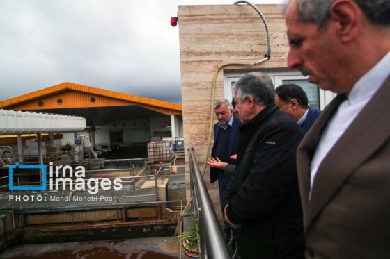 سفر معاون دیپلماسی اقتصادی وزارت امور خارجه به استان مازندران