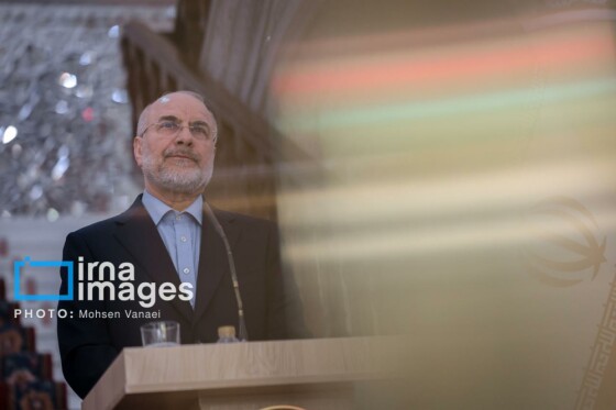 دیدار رئیس مجلس اتیوپی با رئیس مجلس شورای اسلامی