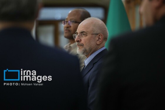 دیدار رئیس مجلس اتیوپی با رئیس مجلس شورای اسلامی