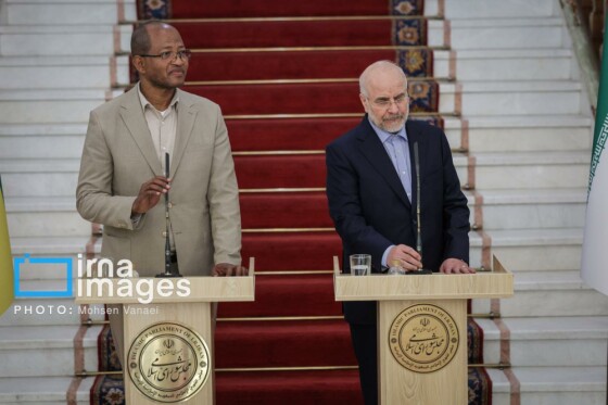 دیدار رئیس مجلس اتیوپی با رئیس مجلس شورای اسلامی