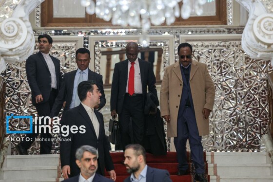 دیدار رئیس مجلس اتیوپی با رئیس مجلس شورای اسلامی